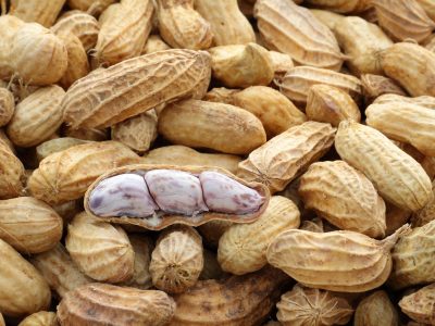 Amendoim - Crédito: Shutterstock