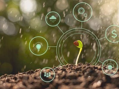 shutterstock_1127599355