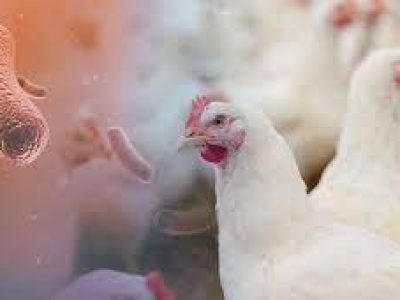 shutterstock_123866479-01-2021-1