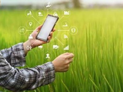 Agriculture technology farmer man using smartphone analysis data and visual icon.