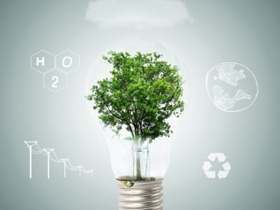 shutterstock_155891906