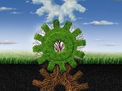 Crédito: Shutterstock