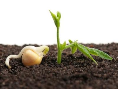 shutterstock_179394425-06-2022