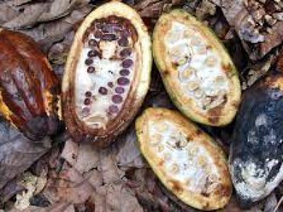 shutterstock_192442982-11-2021-1