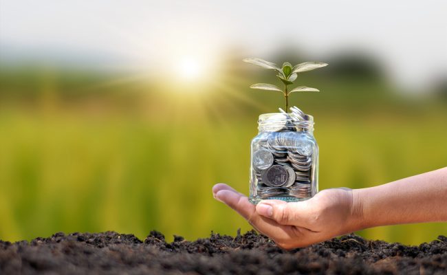 No cenário global de commodities, a margem de lucro está na eficiência