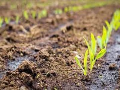 shutterstock_394073422-04-2020-2