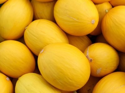 Melão _ Créditos: Shutterstock