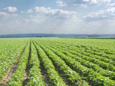 shutterstock_57061117-06.15-02-16