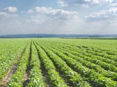 shutterstock_57061117-06.15-02-16