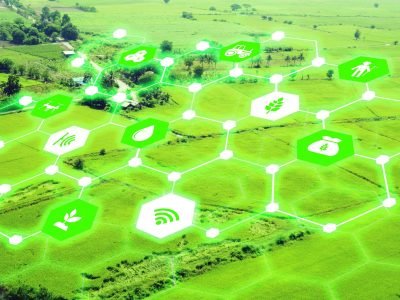 Tecnologia - Crédito: shutterstock