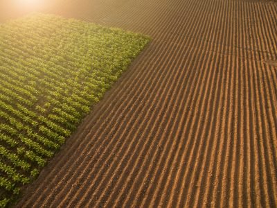 Solo brasileiro - Crédito shutterstock