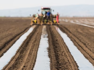 shutterstock_619840409 (06-2020)