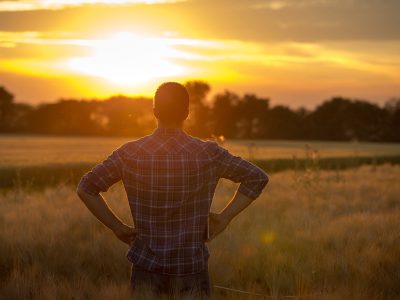 shutterstock_659932354