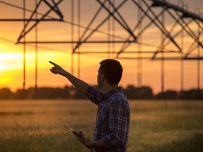 Agronegócio - Crédito: Shutterstock