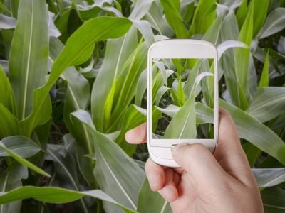 Tecnologia Digital _ Crédito: Shutterstock