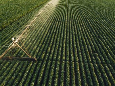 Lavoura - Créditos: Shutterstock