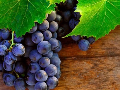 Uva - Crédito: Shutterstock