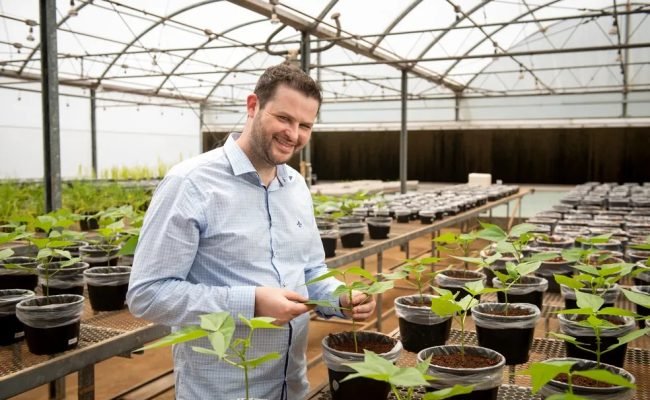 Gerhard Waller
Entre os destaques da programação está o professor Maurício Roberto Cherubin (ESALQ/USP), referência internacional em saúde do solo e agricultura regenerativa