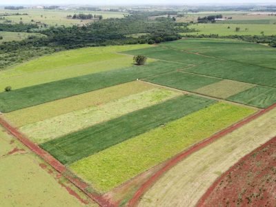 Foto: Rafael Ferreira
/ 
Vista do experimento de longa duração com diferentes sistemas de produção e níveis de manejo, em Dourados (MS)
