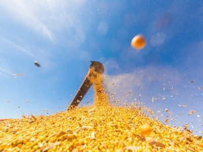 Foto: Descarregamento de Soja - Antonio Neto/Arquivo Embrapa