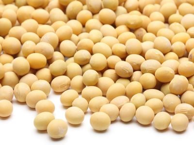 Soja - Créditos: shurtterstock