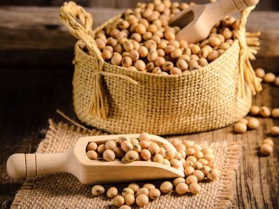 Soja - Créditos: shurtterstock