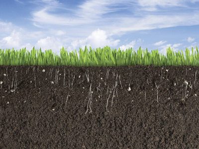 Solo - Fotos: Shutterstock