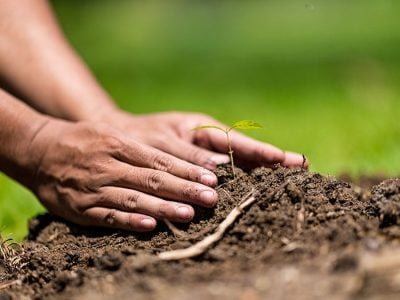 Solo - Crédito: Shutterstock