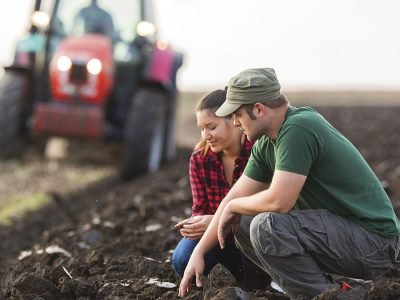 Análise de solo em laboratório mostrando matéria orgânica