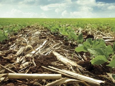 Solo - Crédito: Tiago Tamiozzo