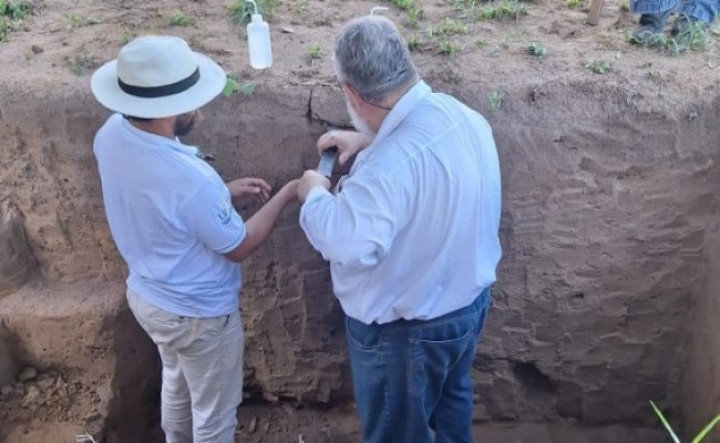 Fonte: Afonso Peche Filho