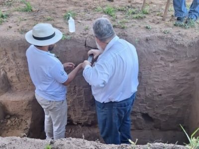 Fonte: Afonso Peche Filho