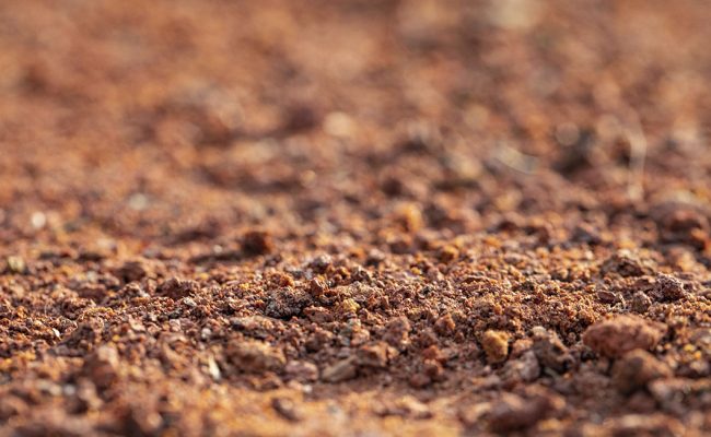 Solo - Crédito: freepik