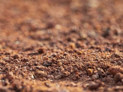 Solo - Crédito: freepik