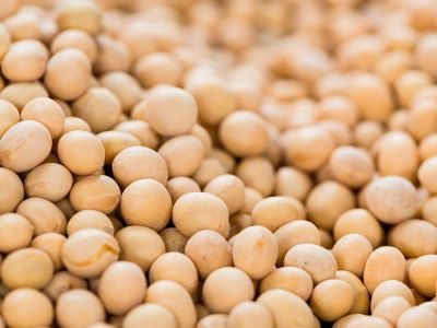 Soja - Créditos: shurtterstock