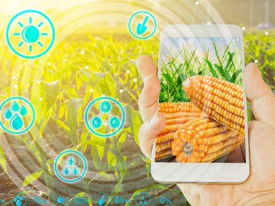 Tecnologia - Crédito: shutterstock