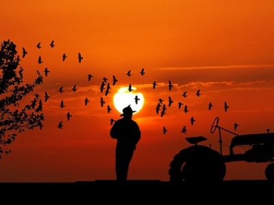 sunset-gc17ce648c_640