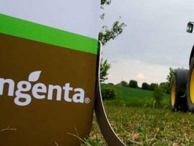 syngenta