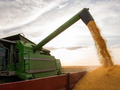 Lançamento da Nidera Sementes foca em alto potencial produtivo aliado à hiperprecocidade (Divulgação/Syngenta)