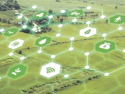 Tecnologia - Crédito Shutterstock