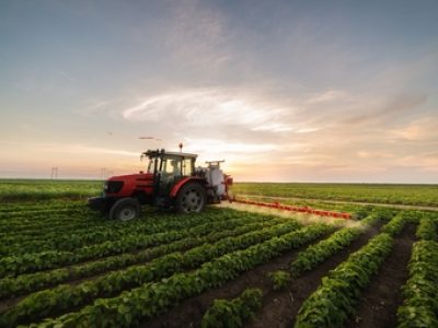 Tractor spraying a field of soybean
