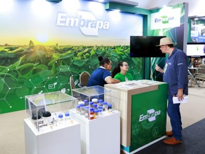 Especialista demonstra tecnologias da Embrapa e amostras de plantas oleaginosas para biocombustíveis no espaço AiTec da AgroBrasília.
