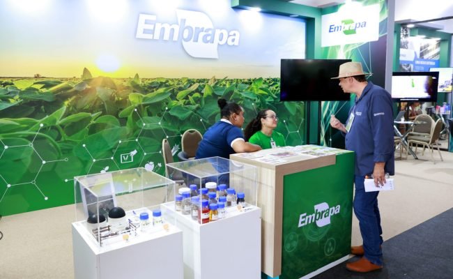 Especialista demonstra tecnologias da Embrapa e amostras de plantas oleaginosas para biocombustíveis no espaço AiTec da AgroBrasília.