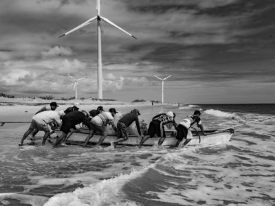 teia sociobiodiversidade