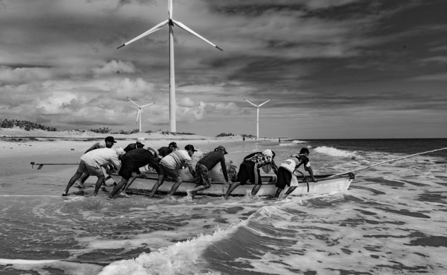 teia sociobiodiversidade