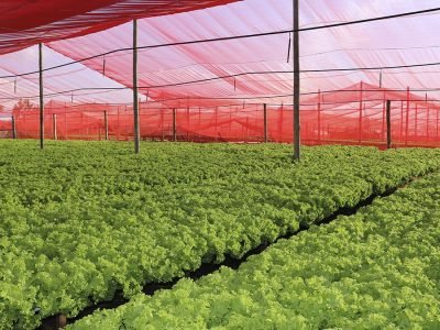 Telas - Fotos: Ginegar Brasil