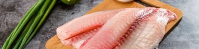 tilapia