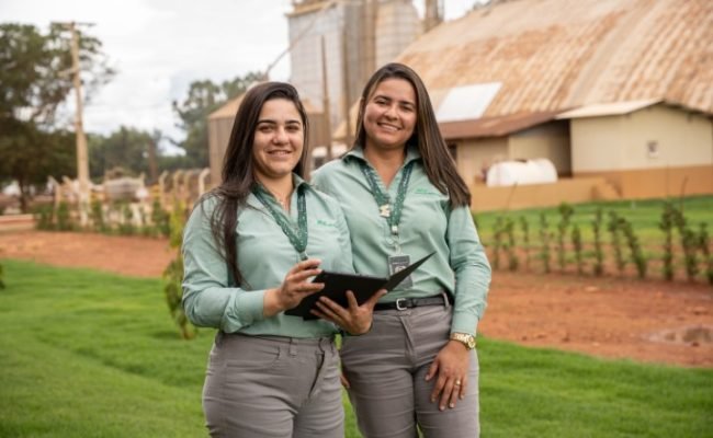 trainee-slc-agricola-2026