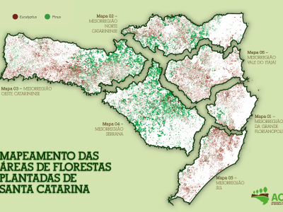 Mapa da Silvicultura