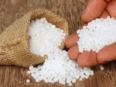 Foto: Canva/ Creative Commoms